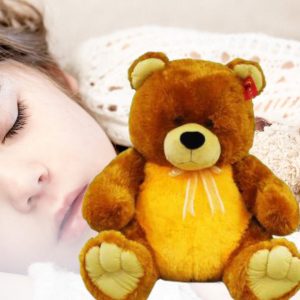 Cute and Funny Teddy Bear