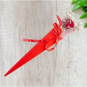 Valetine Single Fresh Red Rose in a Holder
